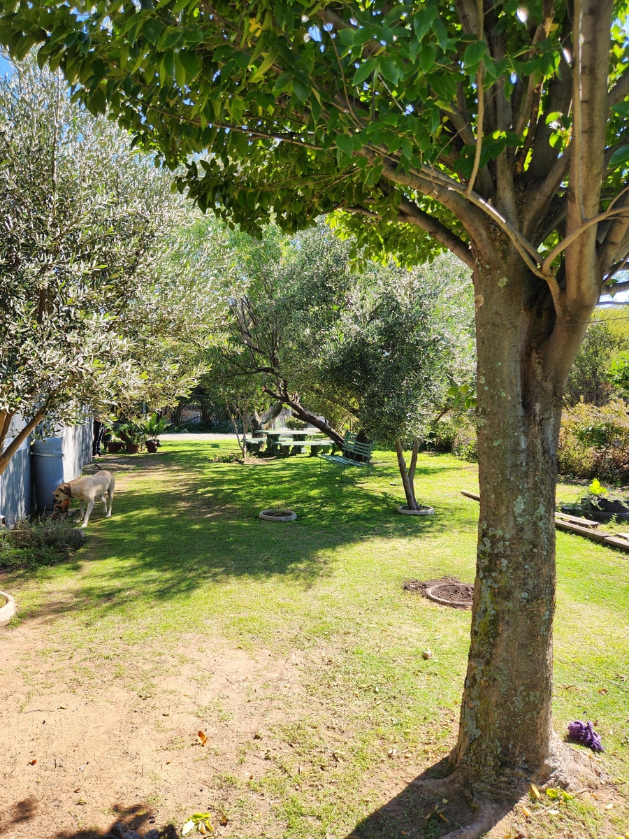 4 Bedroom Property for Sale in Ventersburg Free State